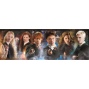 Puzzle HARRY POTTER - Puzzle Panorama 1000P