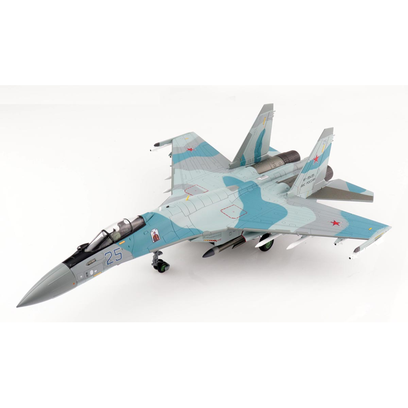 Su-35S Flanker E Blue 25, 22nd IAP, 303rd DPVO, 11th Air Army, VKS (Russian Aerospace Forces)