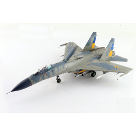 Miniature Su-27 'Compass Ghost Grey scheme' Ukrainian Air Force 2023 (with AGM-88 and IRIS-T missiles)