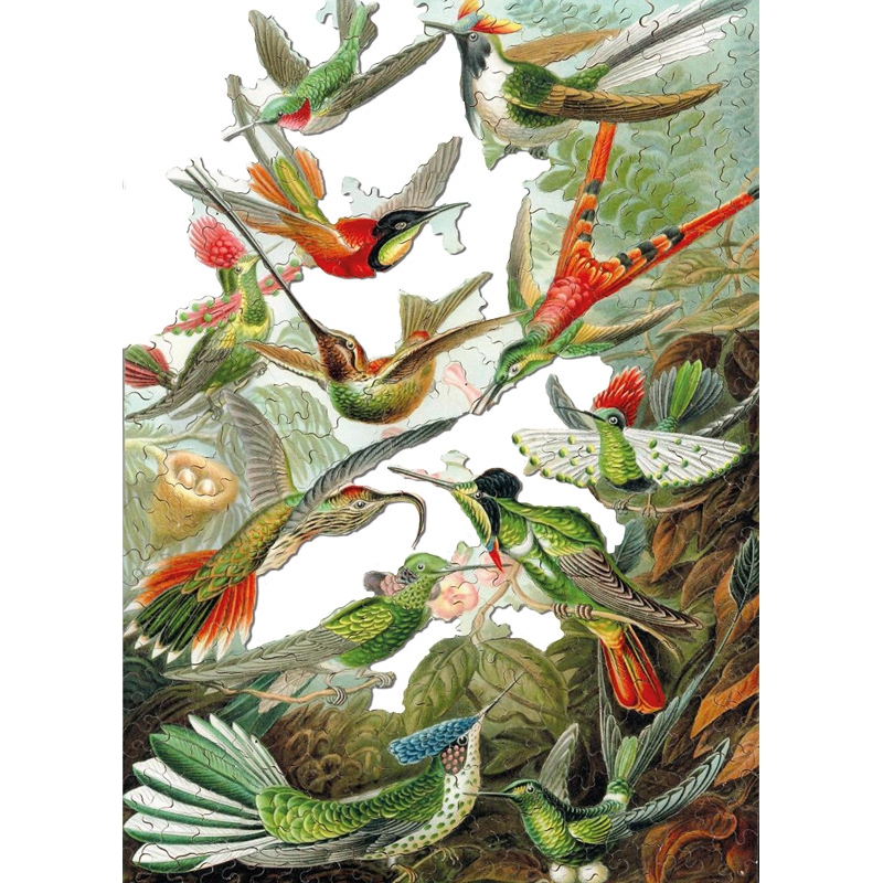 Puzzle LES COLIBRIS