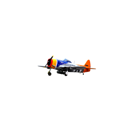  Avion VQ Model P-47 D 50 size EP-GP ' Tarhel Hal' version avec les bombes