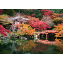 Beautiful Gardens puzzle Daigo-ji, Kyoto, Japan (1000 pièces)