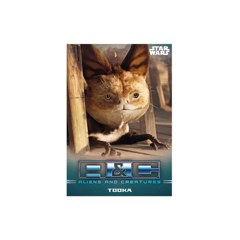 Star Wars: The Mandalorian cartes à collectionner Starter Pack *ANGLAIS*