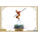 Avatar The Last Airbender - Aang 11” Collector Edition Painted Statue