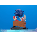 Sonic Adventure Sonic the Hedgehog Standard Edition 21 cm