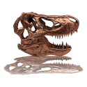 Jurassic Park - T-rex Skull Scaled Prop Replica