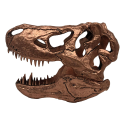 Jurassic Park - T-rex Skull Scaled Prop Replica