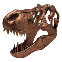 Jurassic Park - T-rex Skull Scaled Prop Replica