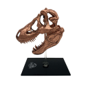 Jurassic Park - T-rex Skull Scaled Prop Replica