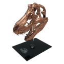 Jurassic Park - T-rex Skull Scaled Prop Replica