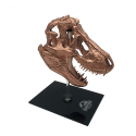 Jurassic Park - T-rex Skull Scaled Prop Replica