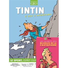  Tintin c'est l'aventure tome 20