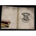 Harry Potter cahier lumineux Slytherin