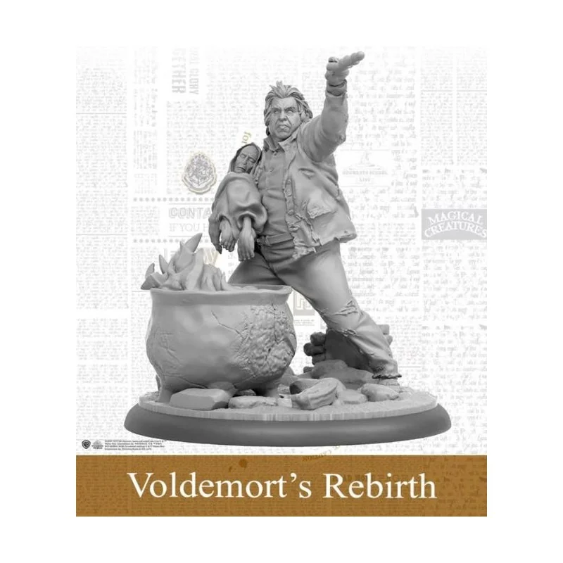 Harry Potter - Voldemort's Rebirth (Anglais)