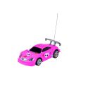 Mini RC Car "rose"