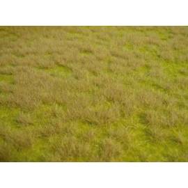 Tapis d'herbes sauvages de savane 45 x 17 cm