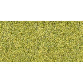  Sachet 75 g d'herbe sauvage vert de prairie 5-6 mm