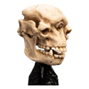 WETA Collectibles Le Seigneur des Anneaux statuette Skull of a Cave Troll 21 cm