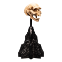 Le Seigneur des Anneaux statuette Skull of a Moria Orc 13 cm