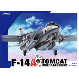 Maquette Grumman F-14B Tomcat