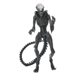  ALIEN ROMULUS - Scorched Xenomorph - Ultimate Figurine 18cm