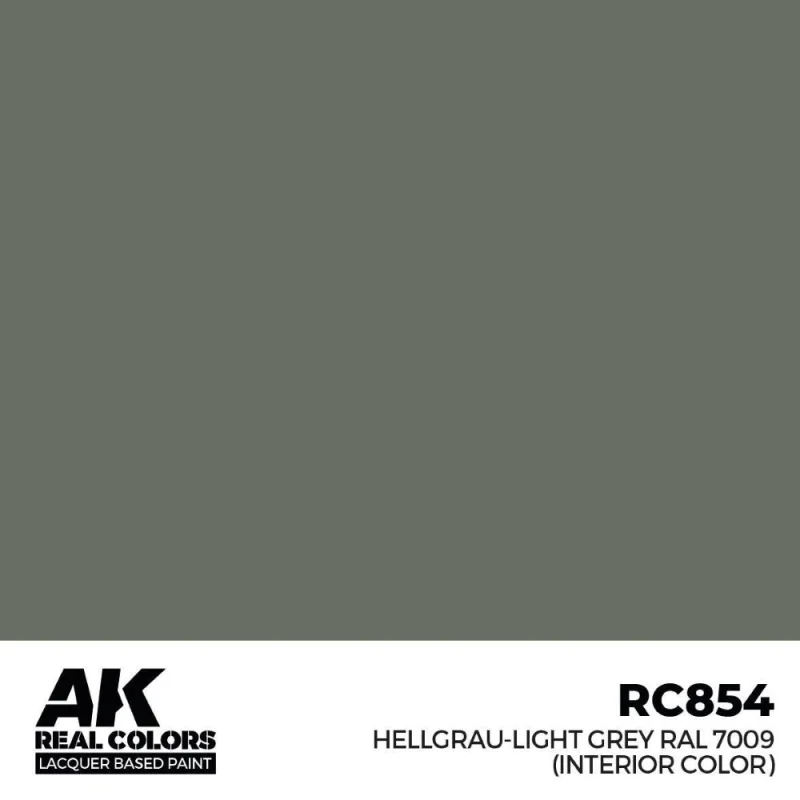 Peinture à maquette acrylique AK INTERACTIVE: Real Colors Hellgrau-Light Grey RAL 7009 (interior color) 17 m