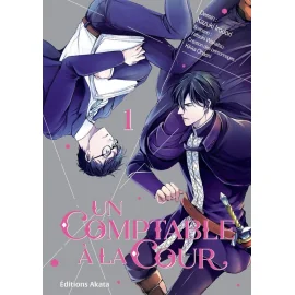  Un comptable à la cour tome 1