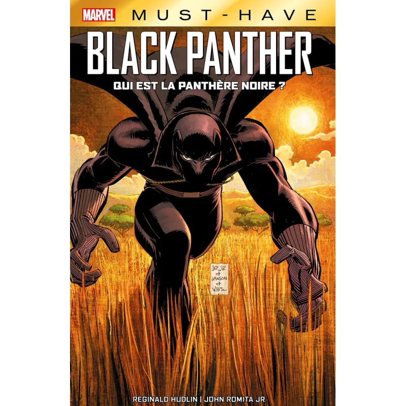  Black panther - Qui est la panthère noire ?