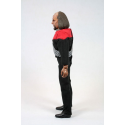 Star Trek TNG figurine Lt. Worf 20 cm