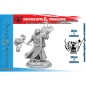 Dungeons & Dragons Frameworks miniature Model Kit Human Cleric Male