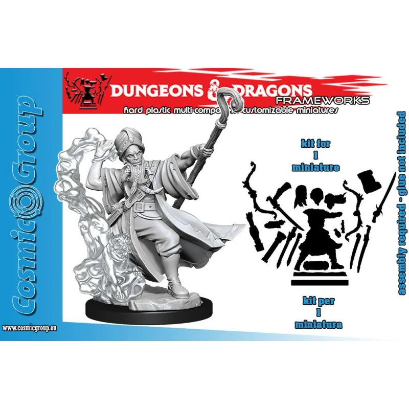 Dungeons & Dragons Frameworks miniature Model Human Wizard Male