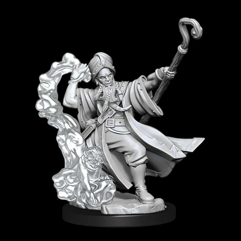 Dungeons & Dragons Frameworks miniature Model Human Wizard Male