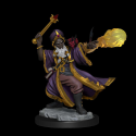 Dungeons & Dragons Frameworks miniature Model Human Wizard Male