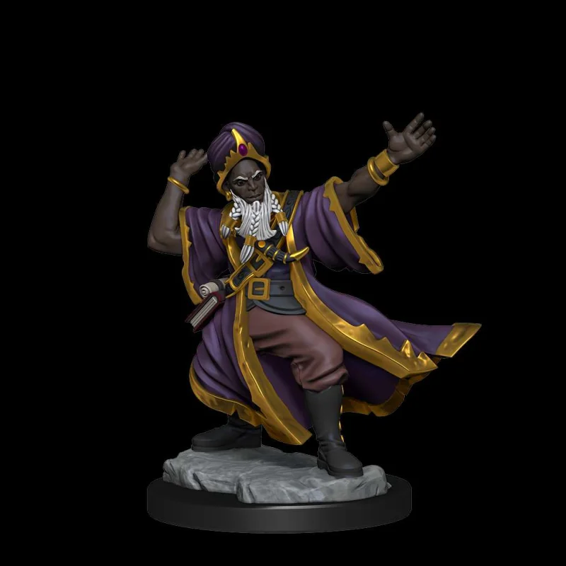 Dungeons & Dragons Frameworks miniature Model Human Wizard Male