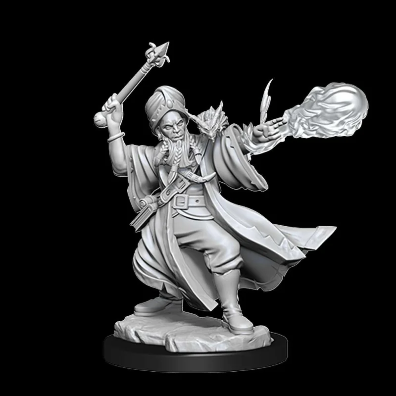 Dungeons & Dragons Frameworks miniature Model Human Wizard Male