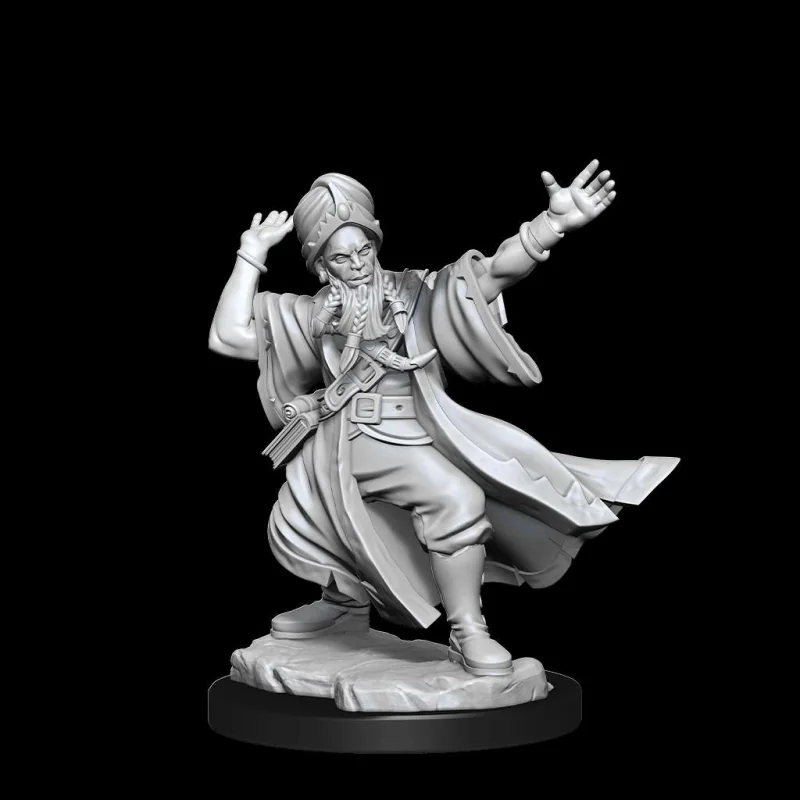 Dungeons & Dragons Frameworks miniature Model Human Wizard Male