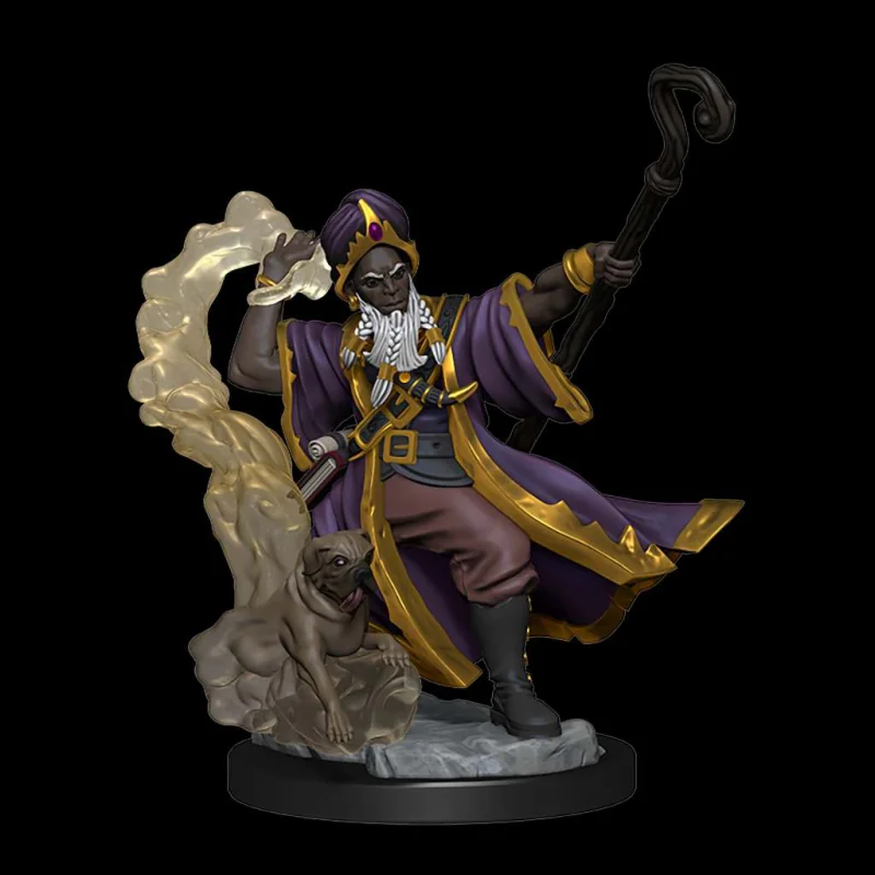 Dungeons & Dragons Frameworks miniature Model Human Wizard Male