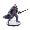 Dungeons and Dragons: The Legend of Drizzt 35th Anniversary - Tabletop Companions Boxed Set