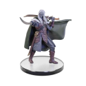 Dungeons and Dragons: The Legend of Drizzt 35th Anniversary - Tabletop Companions Boxed Set