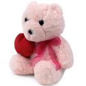 Peluche Plush toy WP MERCHANDISE Bear Ellie with a heart 21cm