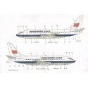 Décal Braathens SAFE Boeing 737-200 LN-SUZ with VASP cheatline and YS-08-C in TACA colours. Includes cockpit windows for both Ai