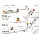 Décal USAAC P-36A (designed to be used with Special Hobby kits) 