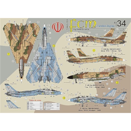 Décalcomanies pour avions mili Décal Persian Eagles, F-4D/E Phantoms and F-14A Tomcats Iran Air Force (4) F-4D 88815/3-6713 71st