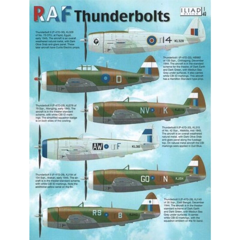 Décal Republic P-47D Thunderbolt Bubble and Rzorbacks