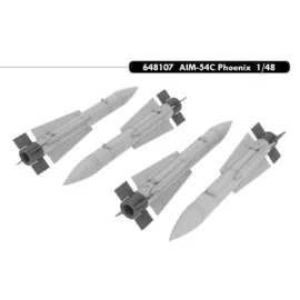 AIM-54C Phoenix For June 2013 release. 