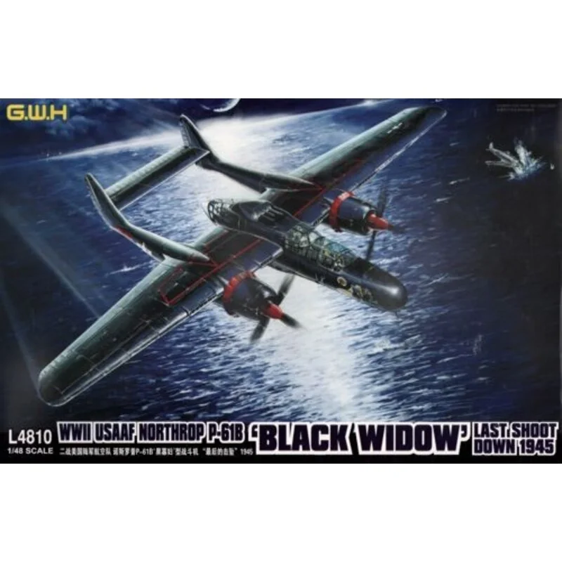 Northrop P-61A Black Widow Last Shoot Down