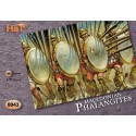 Phalanges d'Alexandre : 48 figurines (sans armes)