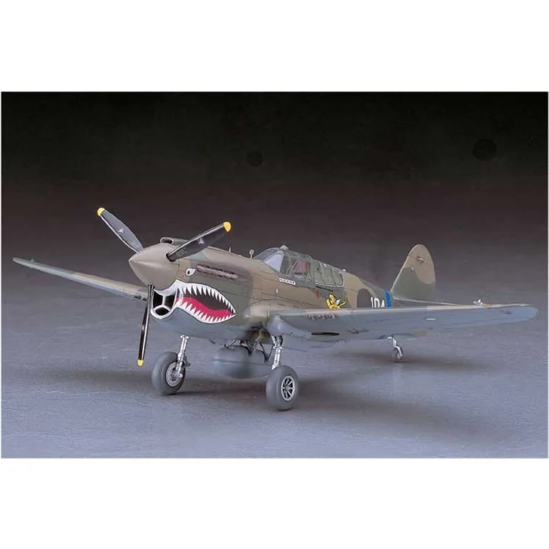 P40 E WARHAWK (JT86) 