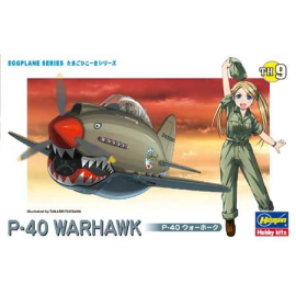 EGG PLANE P-40 WARHAWK