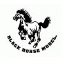 BLACK HORSE